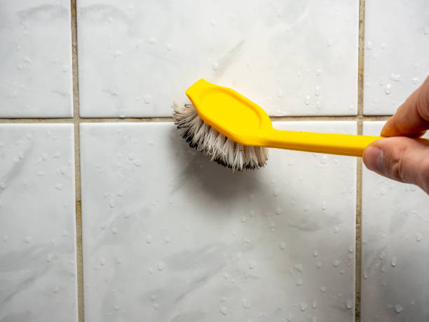 Best Residential Mold Removal  in Cleona, PA