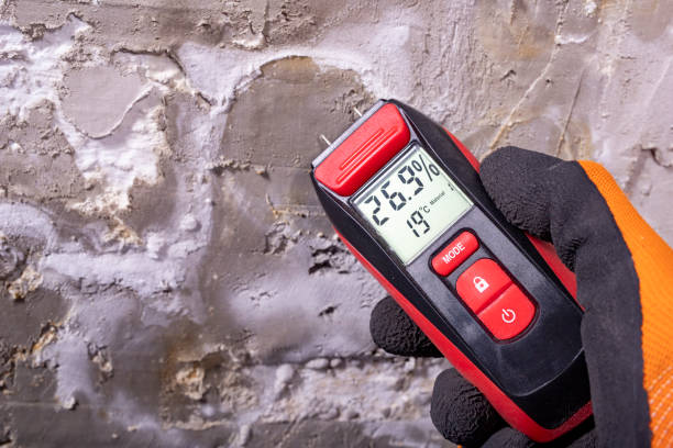 Best Crawl Space Mold Removal  in Cleona, PA