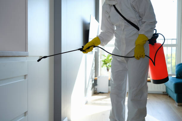 Best Residential Mold Removal  in Cleona, PA